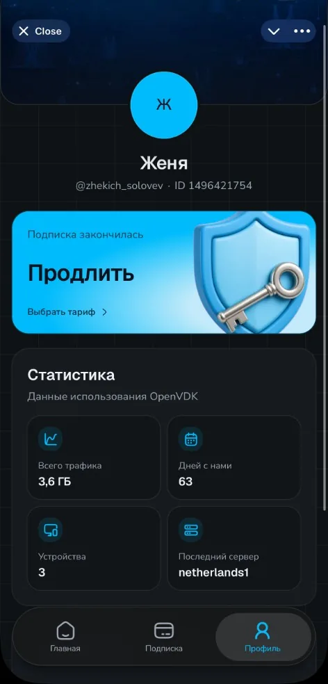 OpenVDK Mini App profile: renew banner and usage stats for traffic, days, devices, last server